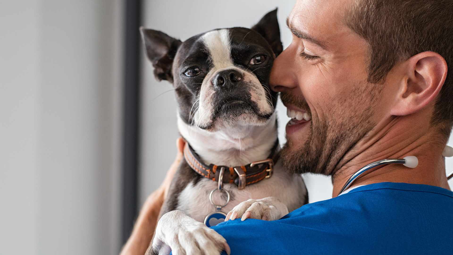 ¿Cómo Saber si mi Perro me Quiere?