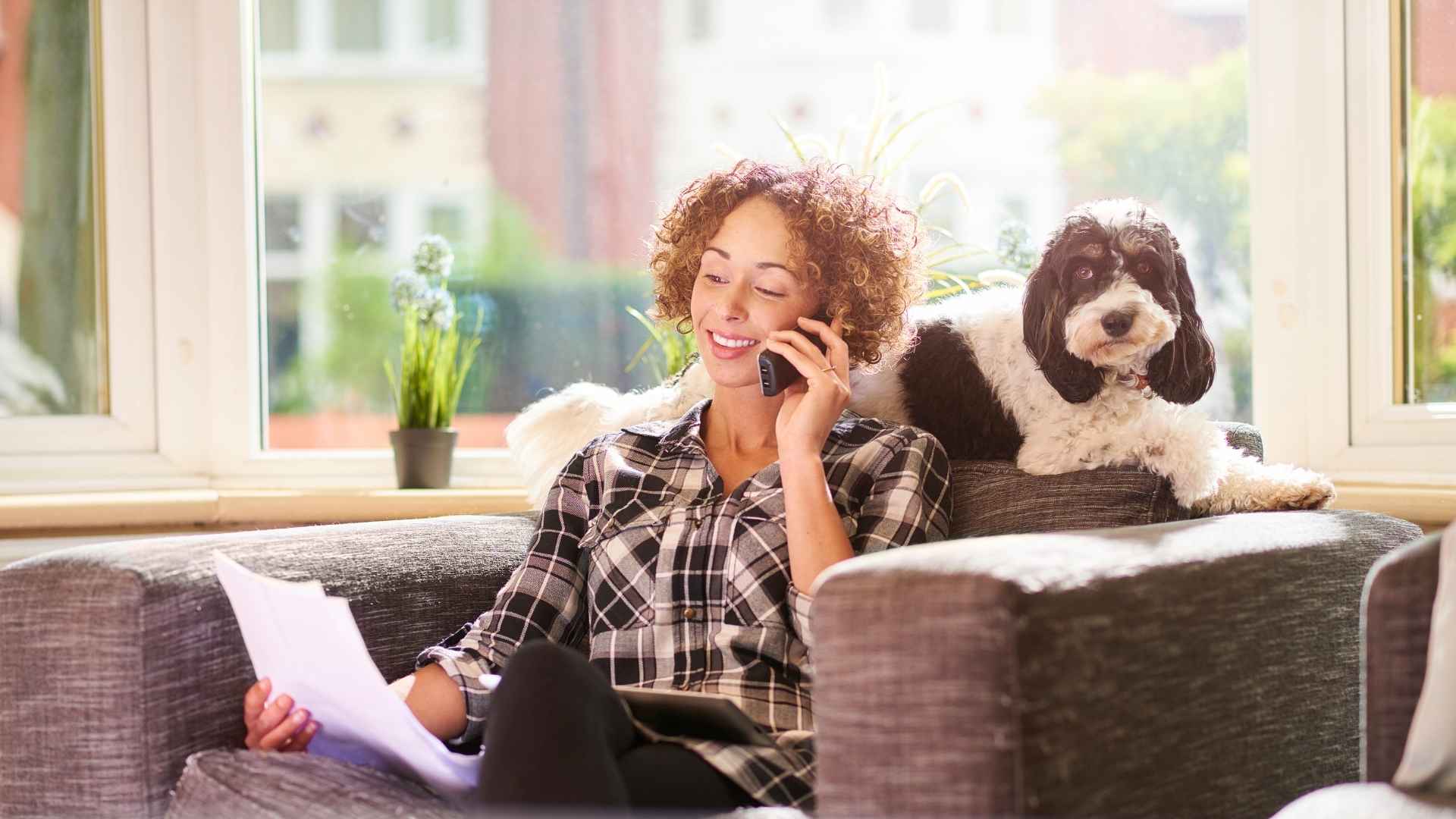Seguro de mascotas o asistencia: en qué se diferencian